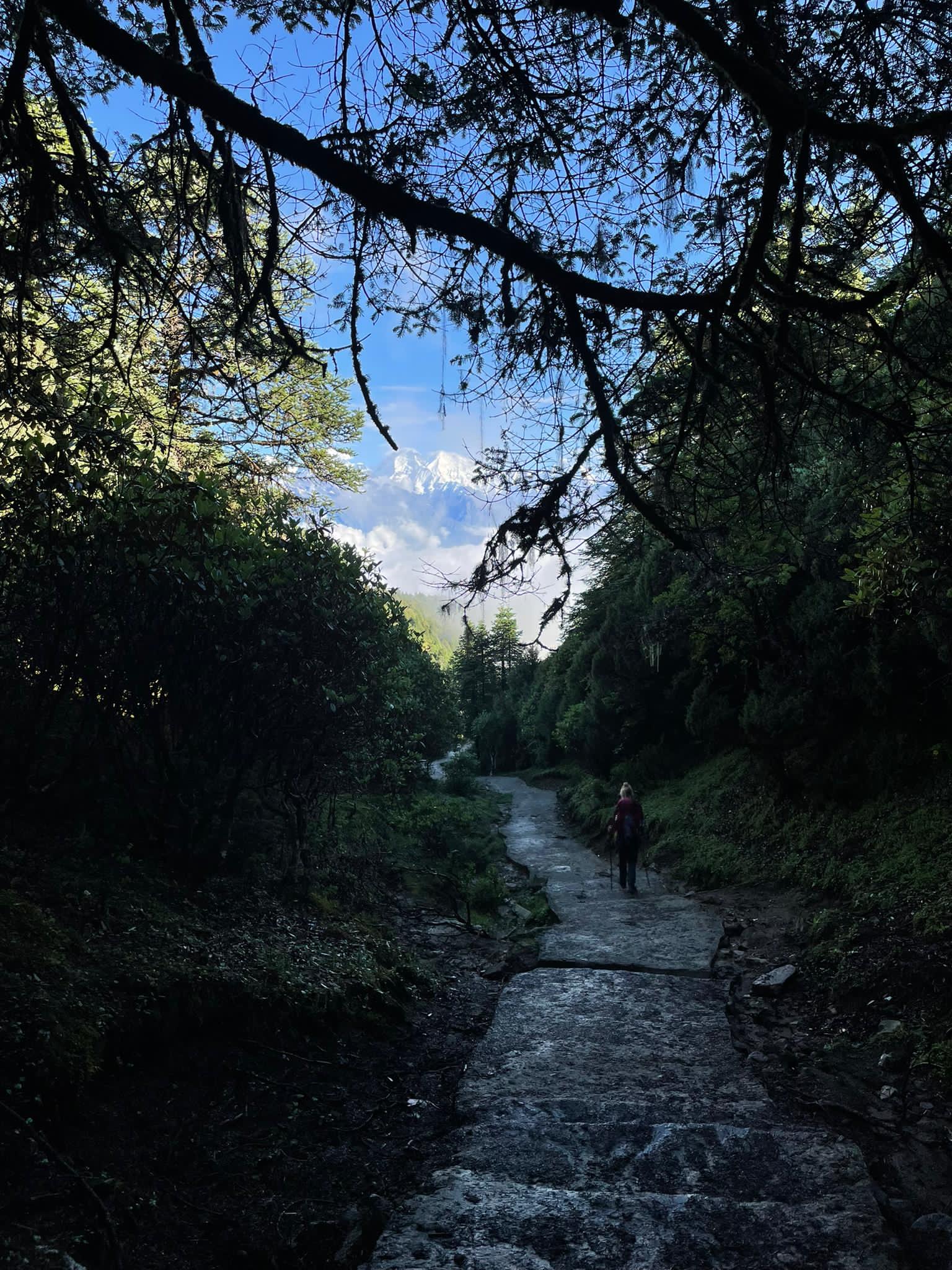 All Inclusive Ultimate Circle Island Day with Lunch